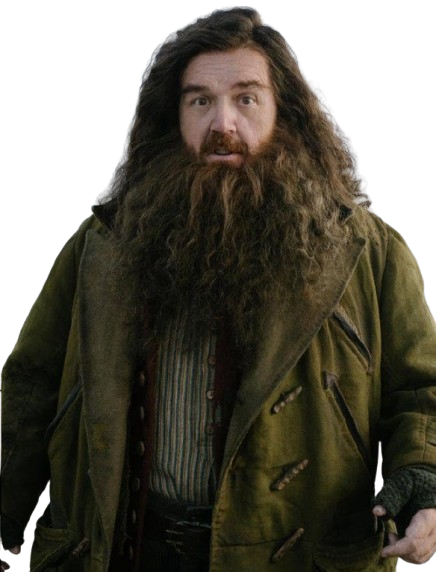 Nick Frost Harry Potter Rubeus Hagrid Coat - Image 3
